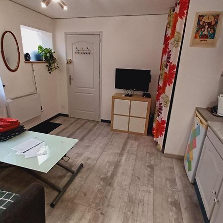Studio Cosy Tout Confort Gaillac Centre. Luaran gambar